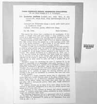 Image Associated With the Occurence